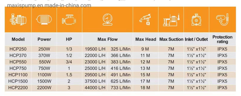 Factory Supply Maxis 1HP 2HP 3HP Swimming Pool Circulation Electric Water Pump with High Flow