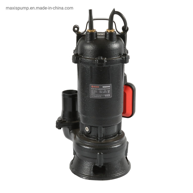 Cast Iron Electric Sewage Submersible Sump Water Pump with Float Switch and Cutter