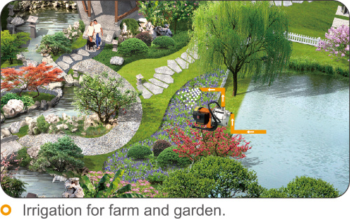 Js800 Inox Home Garden Electric Domestic Water Pump for Pressure Boosting System
