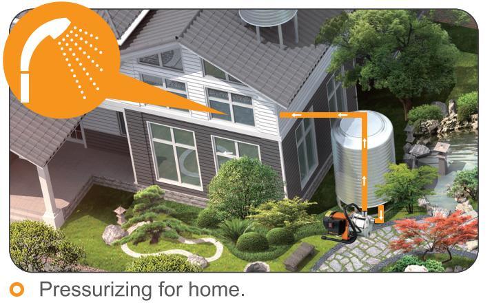Stainless Steel Automatic Garden Self Priming Electric Shallow Well Garden Jet Pump Price