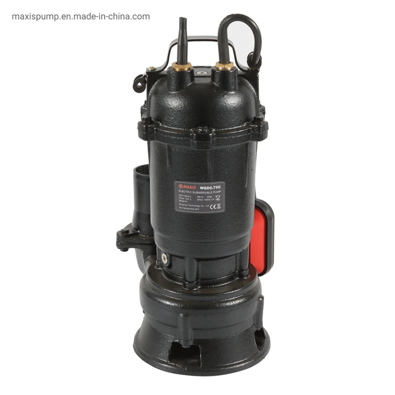 Casting Iron Drainage Water Pump Form Pond River Deep Well Pool for Irrigation