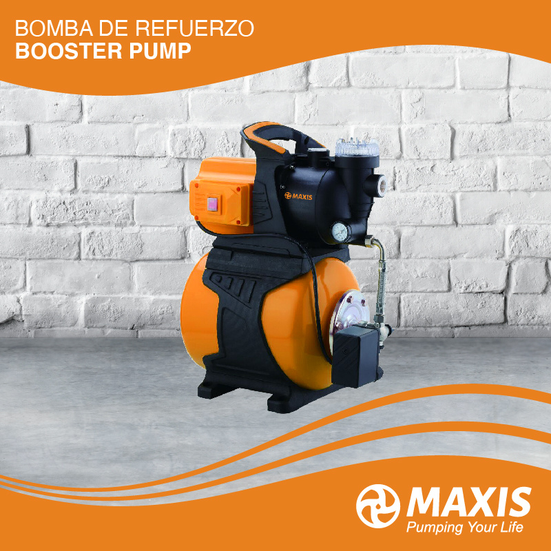 Automatic Garden Booster Pump with Pressure Tank and Water Filter Factory Price