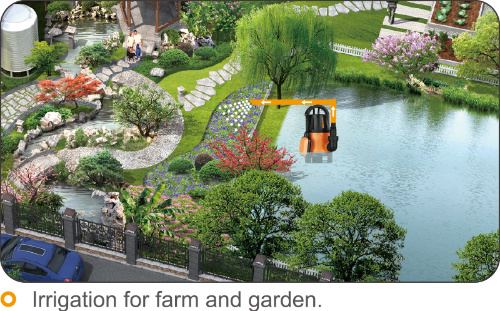 Automatic Pump for Water Transfer and Low Suction 1mm