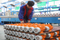 Submersible Clean Plastic Drainage High Flow Casing Domestic Stainless Sewage Electric Water Pump with Big Flow for Garden Pond