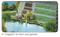 Automatic Multistage Bore Hole Liquid Pump for Deep Well Water Transfer