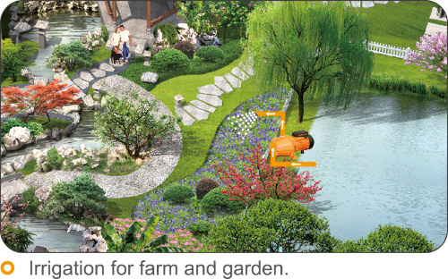 Jet Surface Pump for Pressuring Home and Irrigation Clean Water