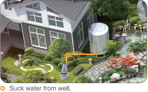 High Pressure Home Use Low Volume Two Phase Masking Vibration Pumps