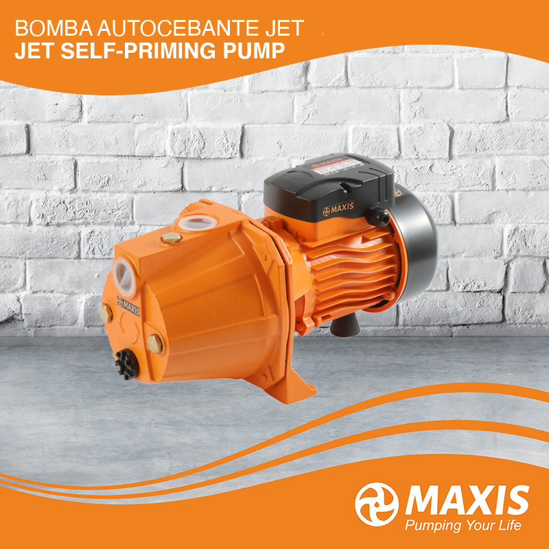 Jet60s Self-Priming Pump for Pressuring Home and Irrigation Clean Water