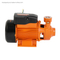 Best Price Home Use Vortex Maxis High Pressure Transfer Clean Vortex Water Pump Qb80 Irrigation