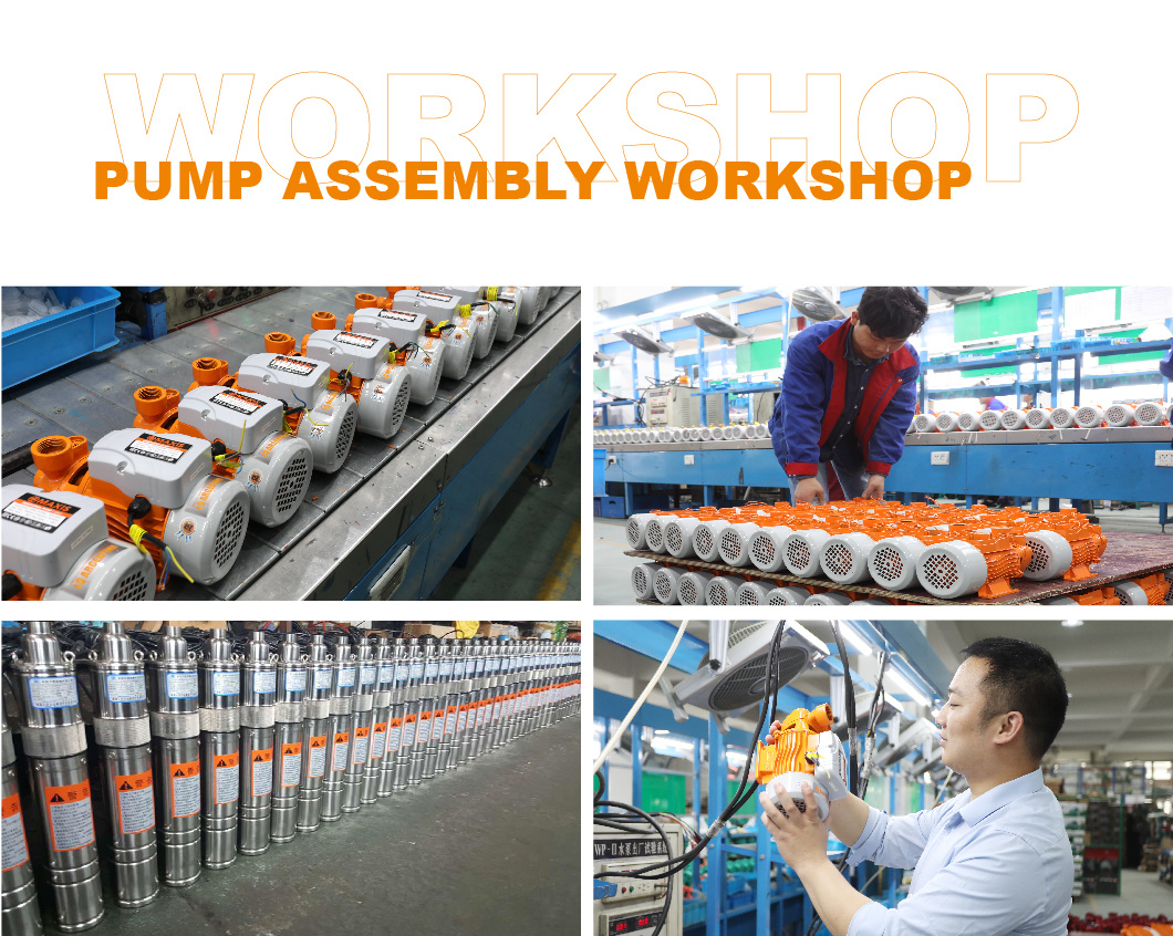 48V DC Multi Stage High Pressure Deep Well Borehole Submersible Solar Pump with MPPT Controller