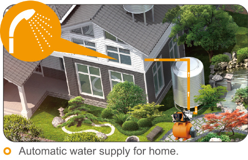 Automatic Water Pump for Irrigation with on/off Switch