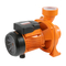 Brass Impeller Cast Iron Centrifugal Pump Circulating Pump
