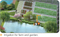 Stainless Steel Jet Multistage Water Pump Irrigation Pump