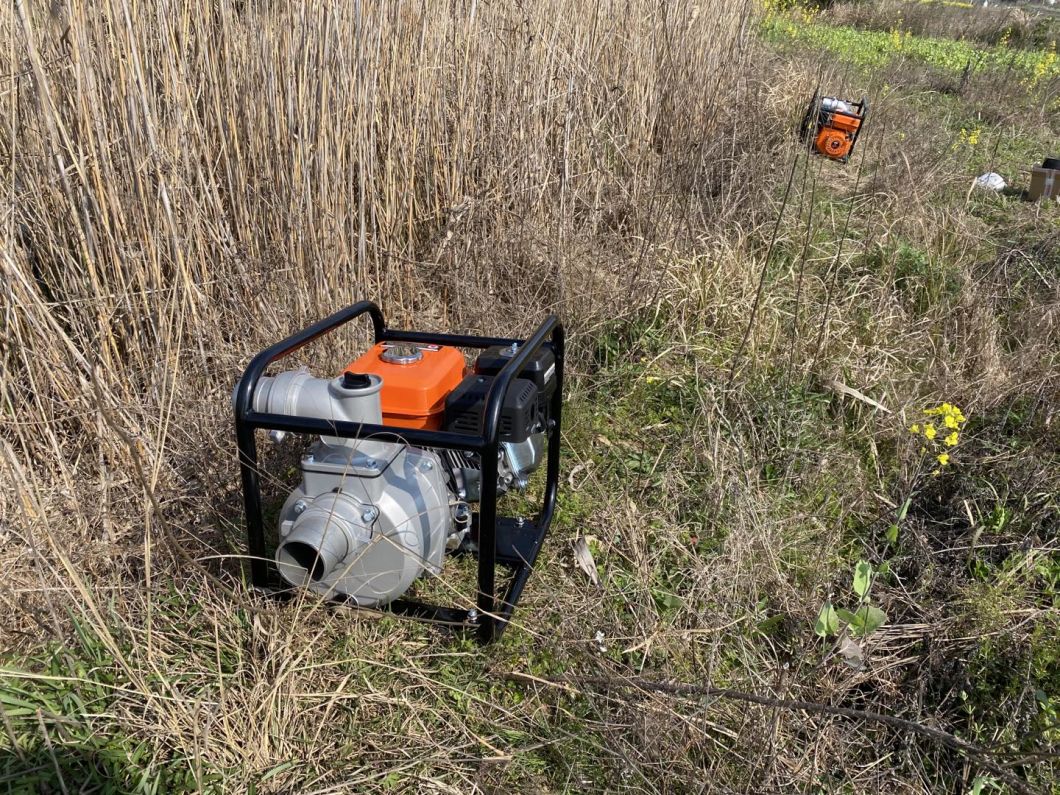 Gasoline Petrol Water Pump Set for Farm Irrigation with High Flow Factory Price