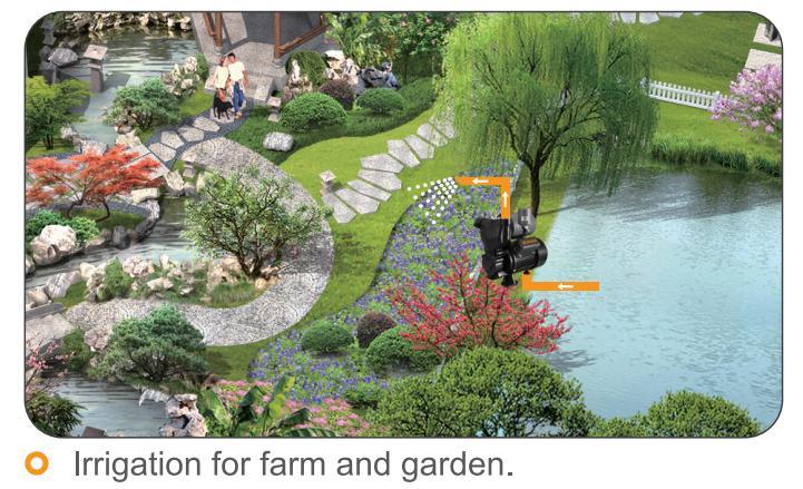 Casting Iron Self-Priming Auto High Pressure Booster Water Pump for Irrigation