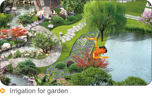 Electric Cast Iron Centrifugal for Farm Garden Pond Water Irrigation