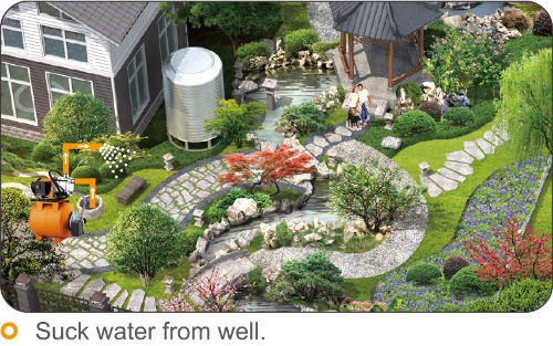 Automatic Water Pump for Irrigation with on/off Switch