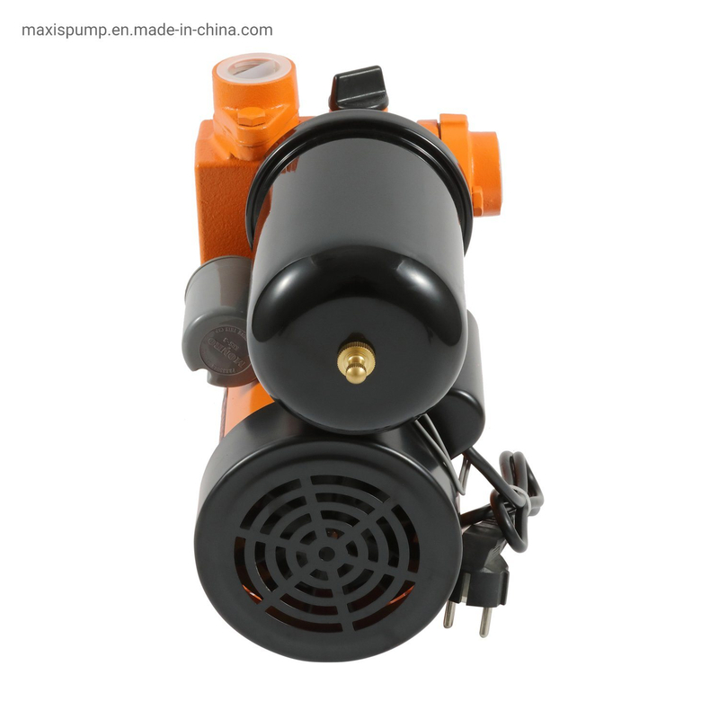 Automatic Casting Iron Vortex Pump with Tank for Farm Agriculture Irrigation