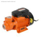 Factory Direct Sales Best High Home Use Vortex Qb60 Qb80 Taizhou Peripheral Circulating Hot and Cold Water Pump