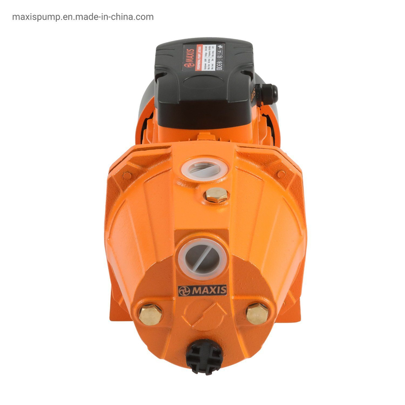 Jet60s Self-Priming Pump for Pressuring Home and Irrigation Clean Water
