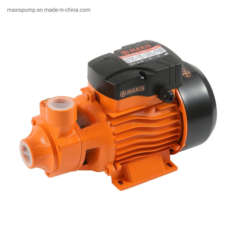 High Flow Pressure 2/3 HP Electric Casting Iron Water Pump Qb for Farm Irrigation
