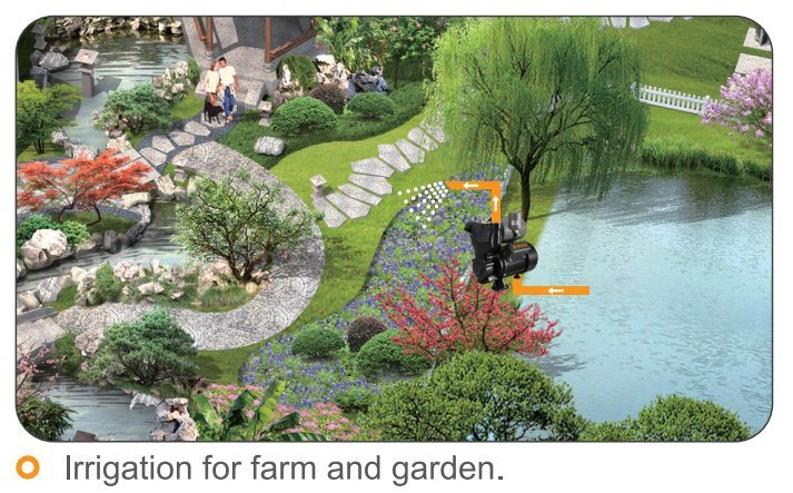 250W Casting Iron Automatic Surface Pump with High Pressure and Irrigation