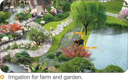 Jet Self-Priming Pump Irrigation with Stainless Steel Body for Irrigation
