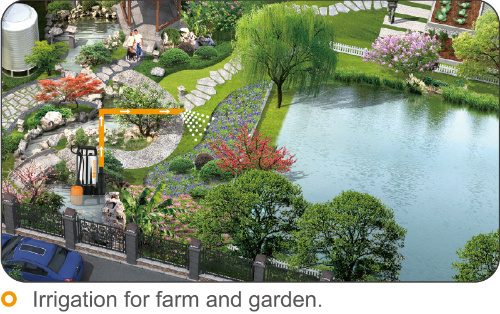 Plastic Stainless Sewage Pump with Big Flow for Garden Pond