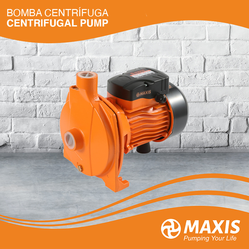 High Efficiency Powerful Casting Iron Cpm for Agriculture and Irrigation