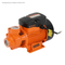 Qb60 0.5HP Peripheral Pump for Domestic Use with 35m Head &35L/Min Flow