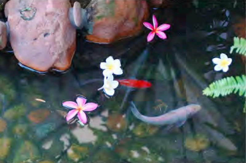 Small Mini Solar Circulating Water Pump for Fish Pond Fountain