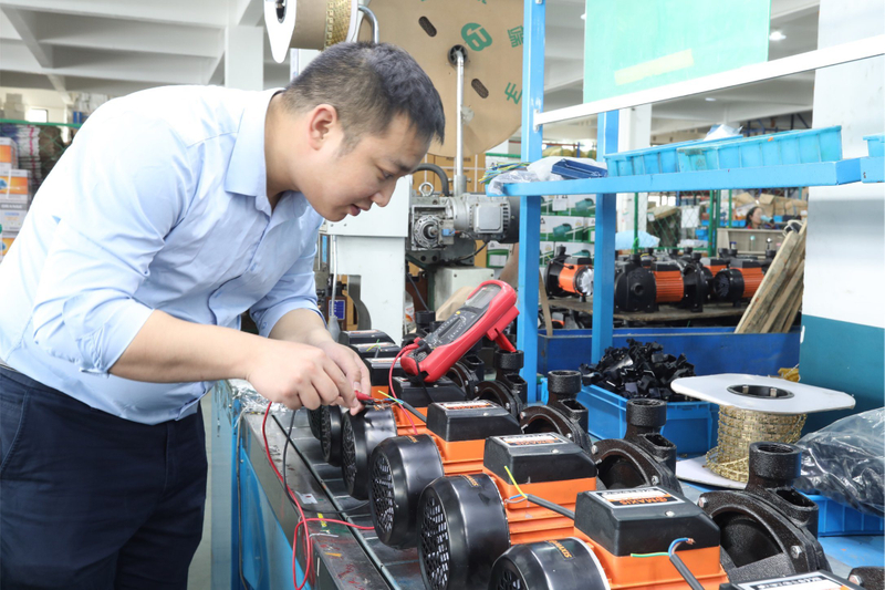 Maxis Electric Swimming Pool Surface Water Pump with High Flow Rate
