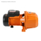 Jet60s Self-Priming Pump for Pressuring Home and Irrigation Clean Water