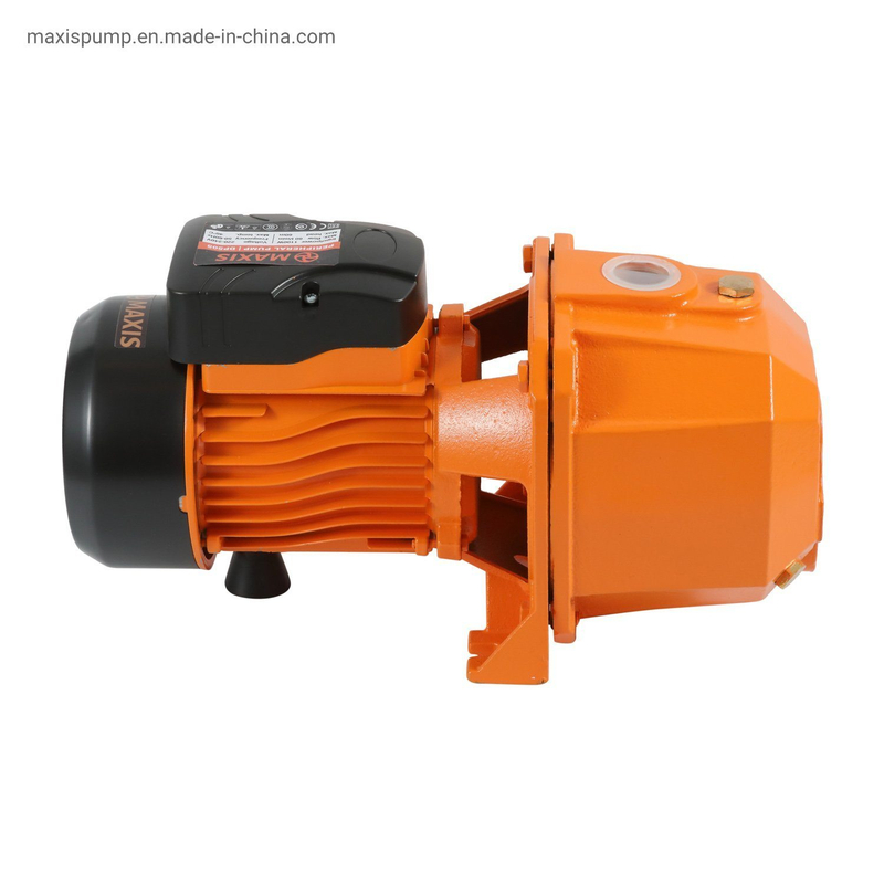 Jet60s Self-Priming Pump for Pressuring Home and Irrigation Clean Water