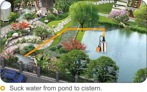 750W Inox Domestic Sewage Water Submersible Pumps for Clean Water From Well Pool Pond