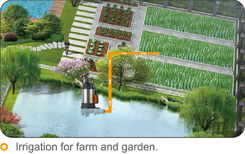 Electric Stainless Steel Submersible Pump for Irrigation