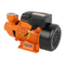 Electric Irrigation Small Peripheral Electric Water Pump Qb60 Qb70 Qb80 Agriculture