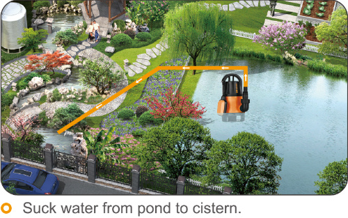Automatic Sensor Control Water Pump for Irrigation and Water Transfer