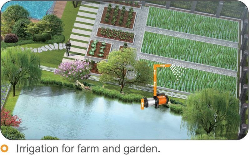 Centrifugal Multistage Electric Water Irrigation Pump Price