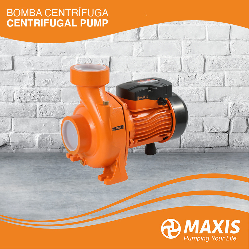 Brass Impeller Cast Iron Centrifugal Pump