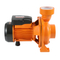 Brass Impeller Cast Iron Centrifugal Pump Circulating Pump
