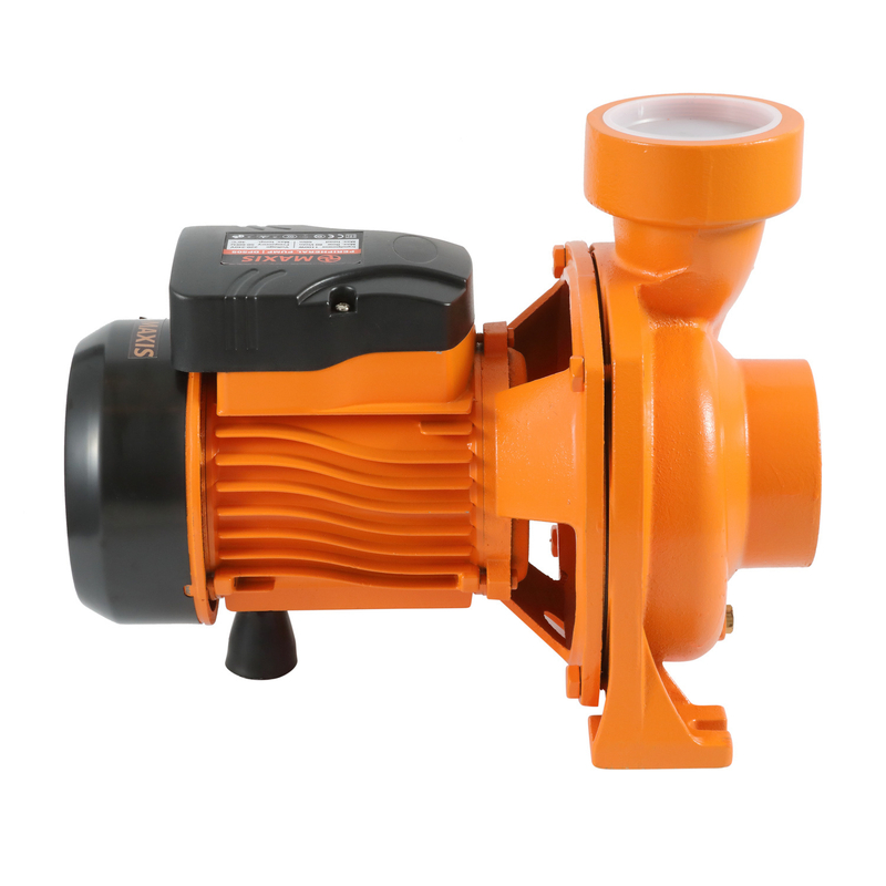 Brass Impeller Cast Iron Centrifugal Pump Circulating Pump