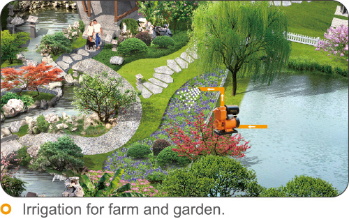1/2 370W Vortex Casting Iron Small Peripheral Irrigation Self-Priming Casting Iron Vortex Automatic Water Pump for Home Garden Farm Pond