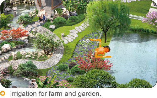 Domestic Use Jet Self-Priming Surface Pump for Pressuring Home and Irrigation Clean Water