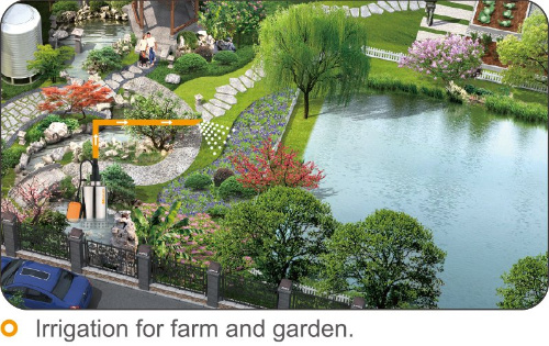 400W High Pressure Garden Electric Stainless Steel Clean Water Pump for Home Pond Irrigation