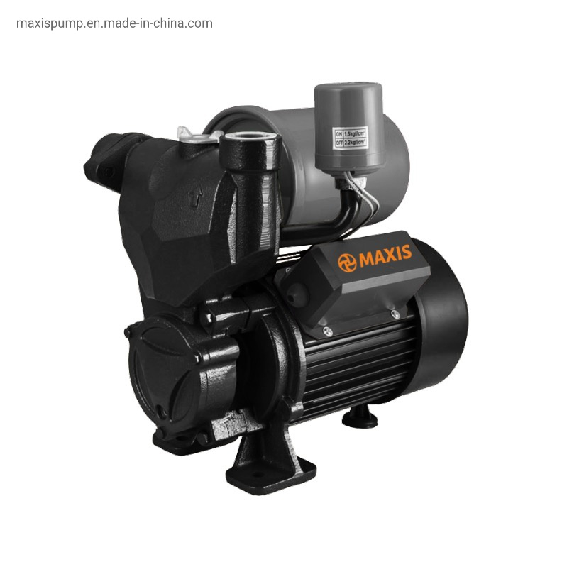 Casting Iron Self-Priming Auto High Pressure Booster Water Pump for Irrigation