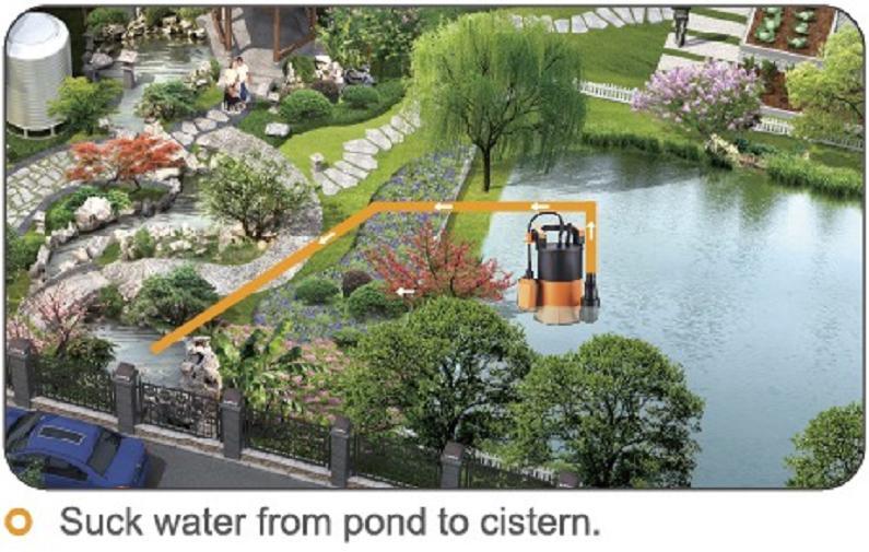 Plastic Electric High Flow Low Suction Small Water Pump for Swimming Pool