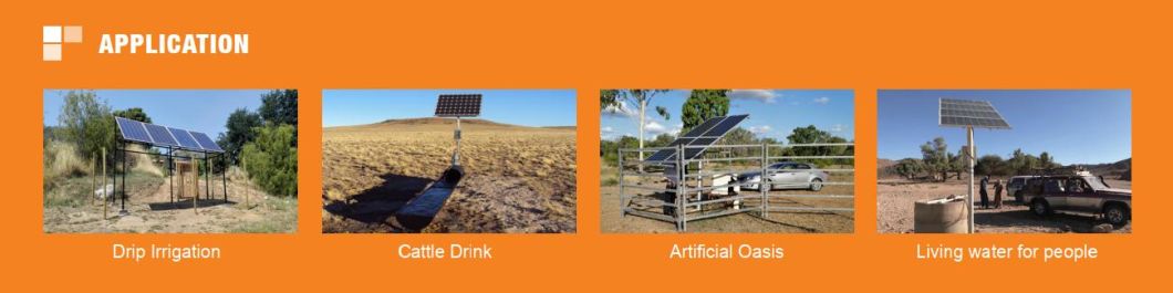 Solar Panel Deep Well Borehole DC Water Pump for Farm Irrigation