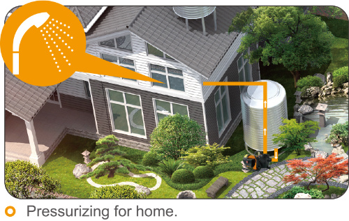 High Pressure Electric Domestic Jet Water Pump with Filter for Home Garden Use Factory Price
