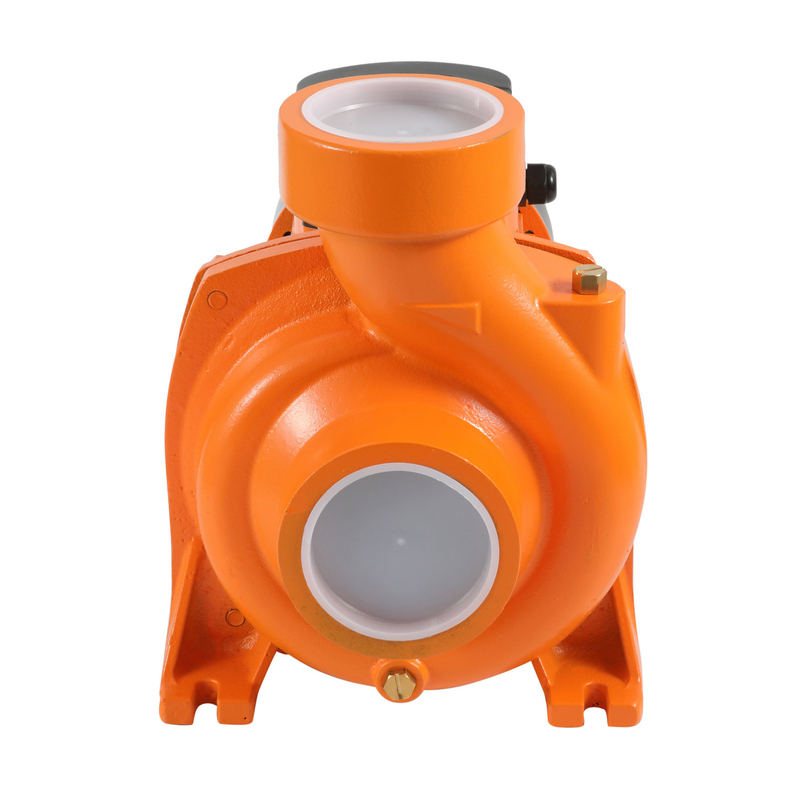 Brass Impeller Cast Iron Centrifugal Pump Circulating Pump